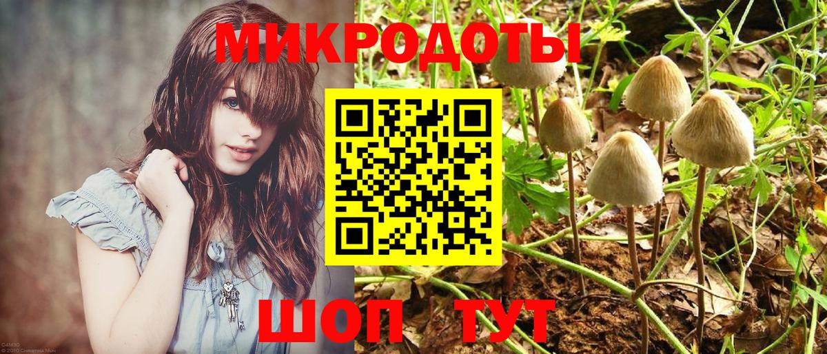 Клинцы  Псилоцибиновые грибы GOLDEN TEACHER  Вход с VPN 